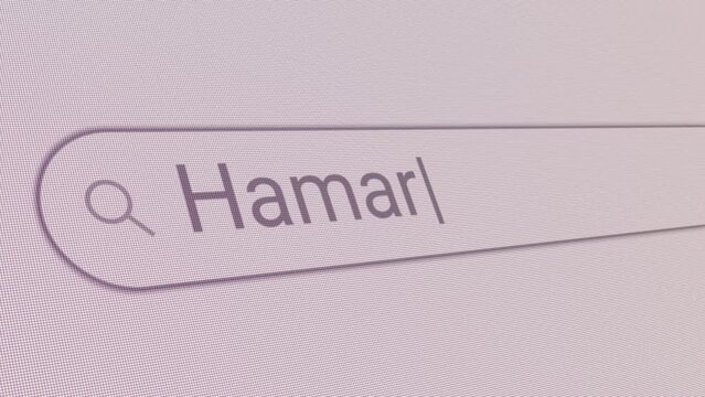 Search Bar Hamar 
Close Up Single Line Typing Text Box Layout Web Database Browser Engine Concept