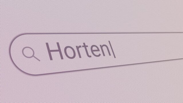 Search Bar Horten 
Close Up Single Line Typing Text Box Layout Web Database Browser Engine Concept