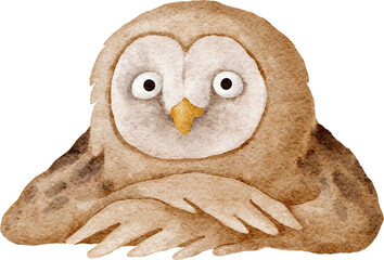 Owl character portrait