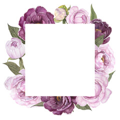 Watercolor illustration of frame pink and violet peony flower isolated