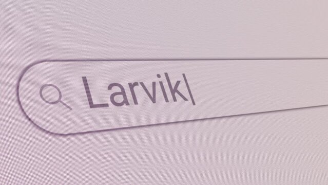 Search Bar Larvik 
Close Up Single Line Typing Text Box Layout Web Database Browser Engine Concept