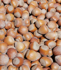 Fondo con detalle y textura de multiples avellanas en tonos marrones