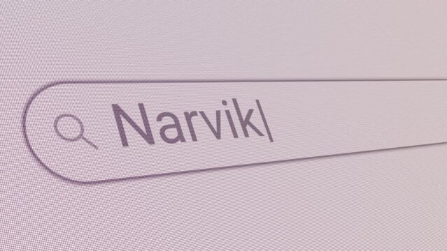 Search Bar Narvik 
Close Up Single Line Typing Text Box Layout Web Database Browser Engine Concept