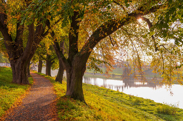 Fototapeta premium Autumn, River, forester, tree, path, 
