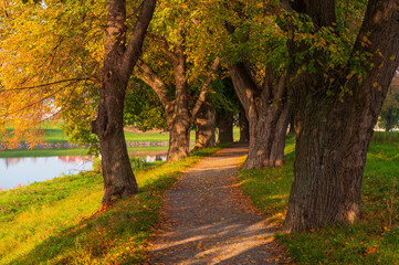 Naklejka premium Autumn, River, forester, tree, path, 