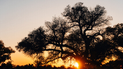 sunset in the mountains
