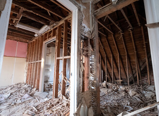 Building work underway in a suburban Edwardian house in Pinner, northwest London UK. The builder is...