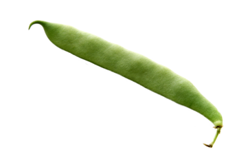 one green pea pod, png file