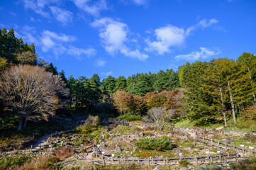 六甲高山植物園