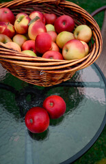 Basket with apples on the table. Fresh apples. autumn harvest