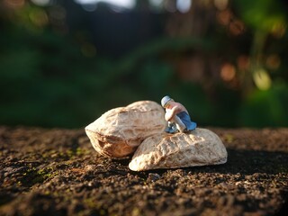 sad mini figure girl toy, sad or depression, sit at peanut skin, in the morning
