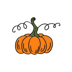 Pumpkin. Flat color icon. Thanksgiving design. Autumn pumpkin.