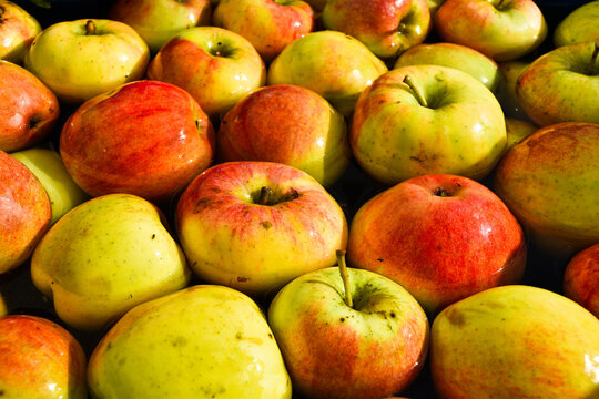 You do not need any medicamente if you eat an apple every day