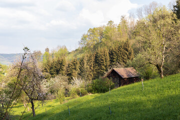 Fototapeta na wymiar Old wooden barn on the hillside in the German countryside