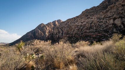 Southwestern high desert arid landscape in autumn
