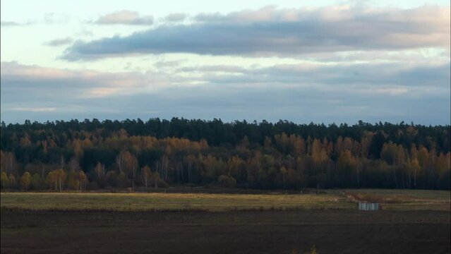 Title: Beautiful tree in Autumn landscape, nature landscape.
