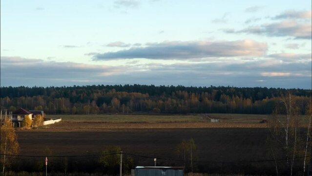 Title: Beautiful tree in Autumn landscape, nature landscape.
