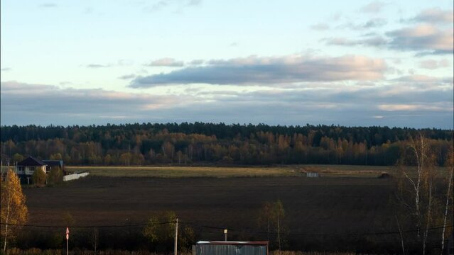 Title: Beautiful tree in Autumn landscape, nature landscape.
