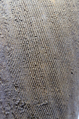 Fototapeta premium Inspired fromTanegashima ware, traditional Japanese pottery, rustic Jomon-style striped porcelain surface.