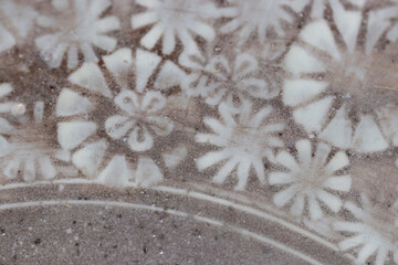 Ceramic platter with a pressed flower motif. Close up macro surface texture photography.