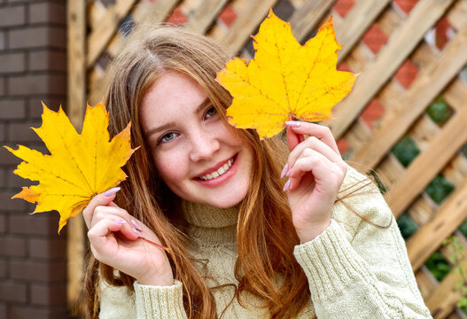 Beautiful smiling redhead teen girl with maple yellow leaves over wooden background. Autumn time. Fall season. knitted sweater