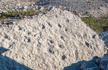 Dinosaur footprints (Lower Jurassic  210 milion years ago ) at Marocche di Dro Biotope bears witness to the history of the glaciers. - Dro, Trento province, trentino Alto Adige Italy
