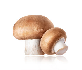 Two Royal Brown champignons close-up isolated on a white background