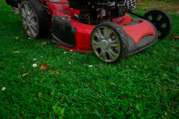 lawn mower, grass, equipment, mow, gardener, care, work, tool,