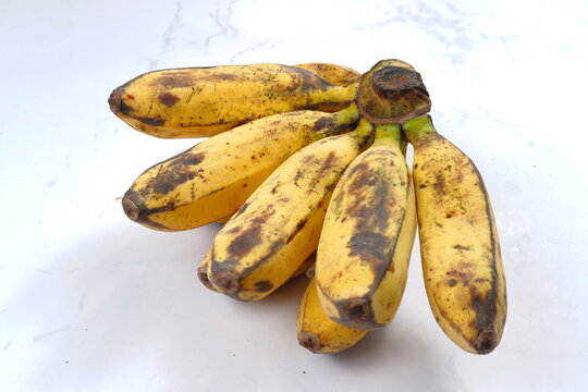 Banana Or Pisang Raja Bulu.bananas Their Peak Of Ripeness With Brown Preckles All Over Their Yellow Peel.on White Background.