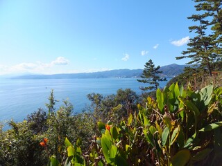 暖かい半島の丘