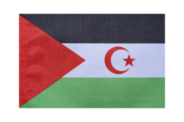 National flag of the country Saharan Arab Democratic Republic, isolate