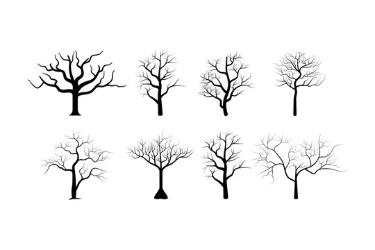 Dead tree silhouettes vector. Dying black scary Spooky trees forest illustration image