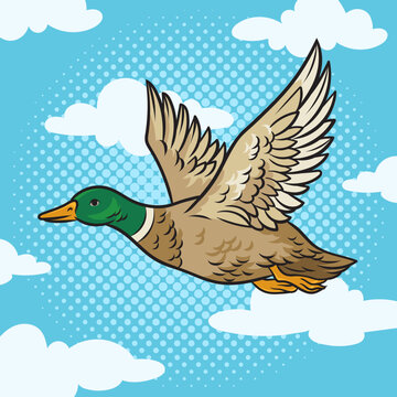 flying duck pinup pop art retro vector illustration. Comic book style imitation.
