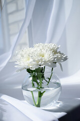small bouquet of chrysanthemums on the windowsill, bw