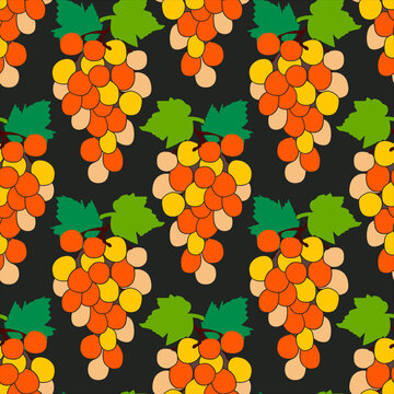 Vector seamless pattern of a vine.Grape variety Cardinal.Image on white and colored background.