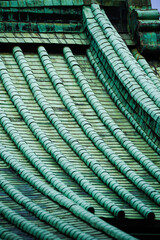 緑が鮮やかな屋根