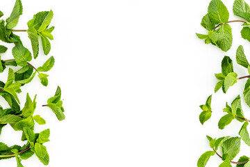 Green peppermint leaves pattern. Floral and herbs background