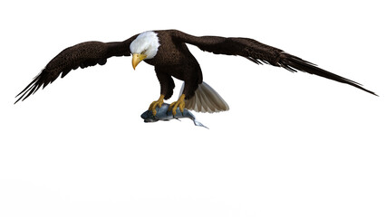 Bald Eagle flying with salmon in claws, 3D illustration isolated on transparent background.