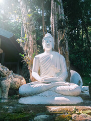 White buddha sculpture sitting under the tree, Thai style design buddha statute