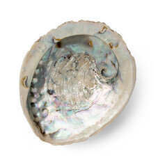 beautiful large abalone shell as used for room cleansing with a smudge stick, sea / ocean / seaside...
