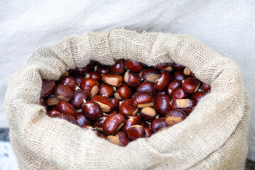 chestnuts in a sack