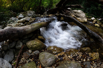 Tusciano river forest scenery in cilento