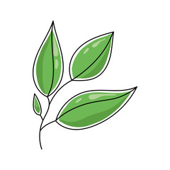 Vector illustration of a tea leaf.