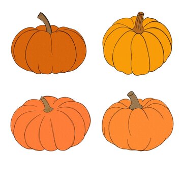 Pumpkin watercolor drawing free hand. Pumpkin for Thanksgiving. Bright pumpkin for Halloween