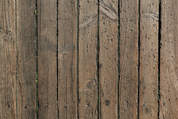Old brown wooden background. Tinber board texture