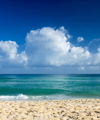 sand of beach caribbean sea