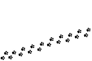 Camino de huellas de pata de gato o perro sobre un fondo blanco liso y aislado. Vista superior y de cerca. Copy space - obrazy, fototapety, plakaty