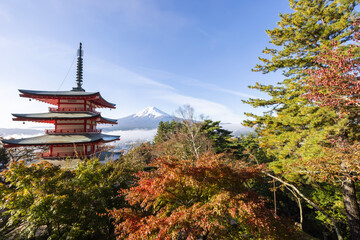 Naklejka premium pagoda in the park