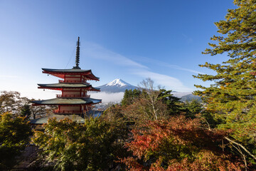 Obraz premium pagoda in the park