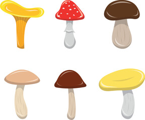 Vector set of mushrooms isolated on white background